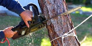 Best Firewood Processing and Delivery  in Ller, WA