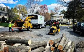 Best Fruit Tree Pruning  in Ller, WA