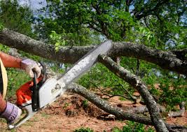 Best Storm Damage Tree Cleanup  in Ller, WA